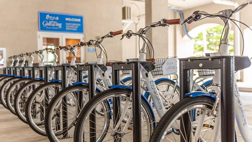 Guest bicycles
