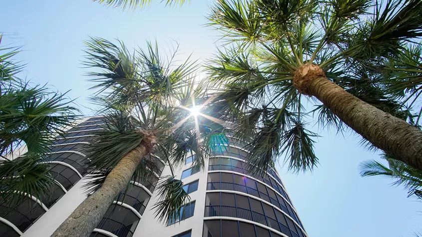 Sunshine state of mind