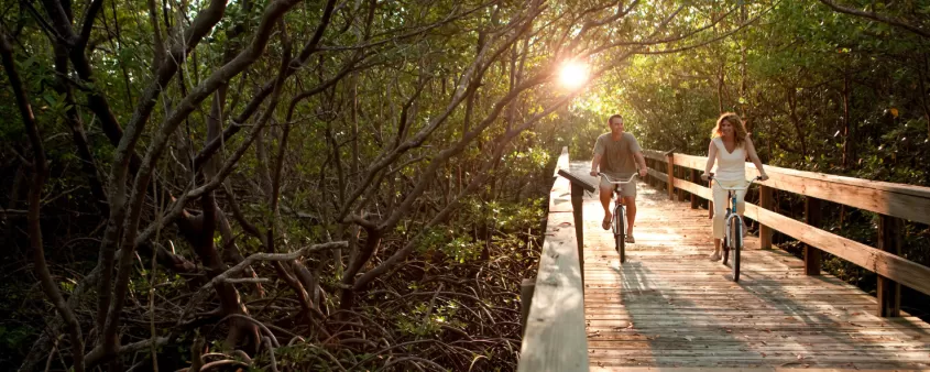 Perfect picture opportunities await at area parks and preserves